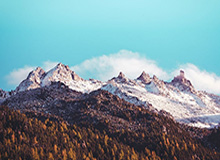 世界杯高清赛事平台-中国球员最怕键盘侠？贝尼特斯：怕被骂没人去冒险